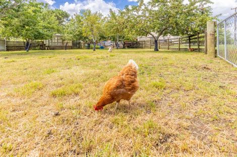 Photo of property in 19 Karakariki Valley Road, Whatawhata, Hamilton, 3289