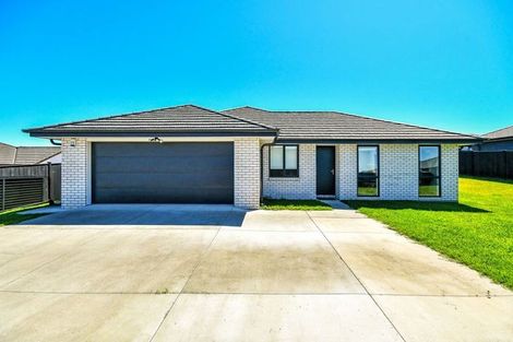 Photo of property in 10 Peacock Place, Pokeno, 2402