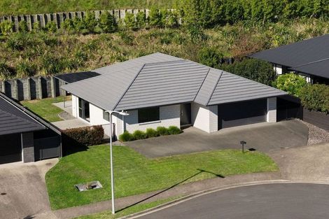 Photo of property in 25 Blacklock Road, Pyes Pa, Tauranga, 3112