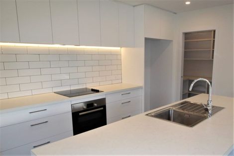 Photo of property in 6 Brooke Place, Alexandra, 9320