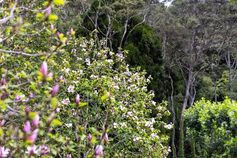 Photo of property in 60 Robinson Road, Coatesville, Albany, 0793