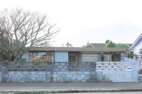 Photo of property in 19 Fitzroy Street, Terrace End, Palmerston North, 4410