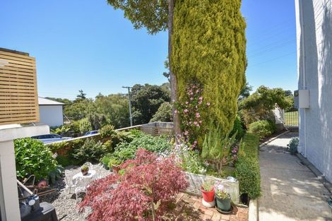 Photo of property in 20 Parkhill Avenue, Mornington, Dunedin, 9011