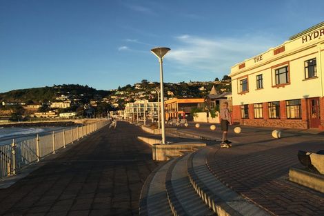 Photo of property in 29 Norfolk Street, Saint Clair, Dunedin, 9012