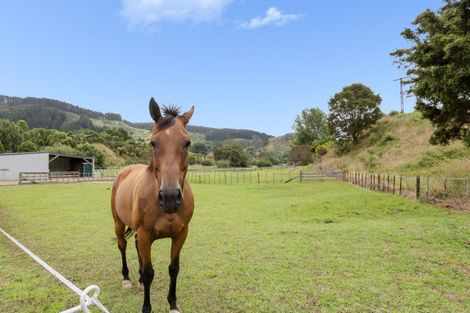 Photo of property in 221 Waitao Road, Waitao, Tauranga, 3175