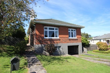 Photo of property in 13 Shulma Street, Abbotsford, Dunedin, 9018