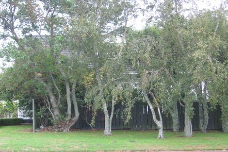 Photo of property in 44 Te Atatu Road, Te Atatu South, Auckland, 0610