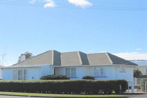 Photo of property in 17 Bledisloe Street, Levin, 5510