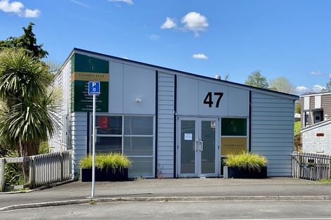 Photo of property in 82 Palmerston Street, Hamilton Lake, Hamilton, 3204