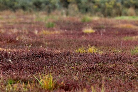 Photo of property in 1218 Old Christchurch Road, Awatuna, Hokitika, 7882