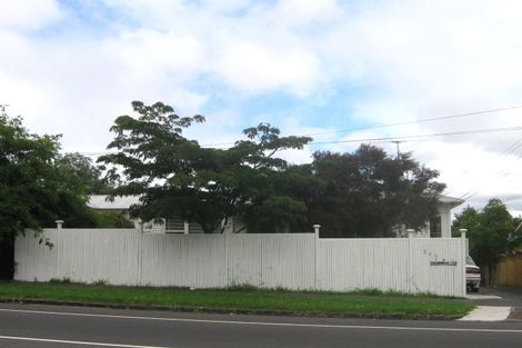Photo of property in 263a Mount Albert Road, Wesley, Auckland, 1041