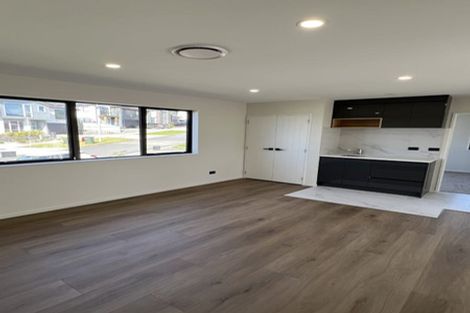 Photo of property in 1 Ripa Street, Flat Bush, Auckland, 2019