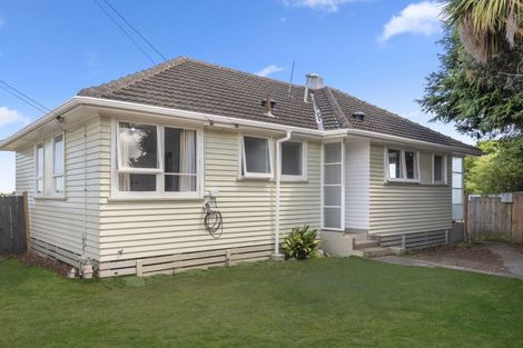 Photo of property in 24 Mahoe Street, Levin, 5510