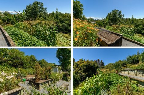 Photo of property in 10 Phillips Drive, Oropi, Tauranga, 3173