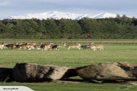 Photo of property in 18 Meadowlinks Lane, Pleasant Point, 7974