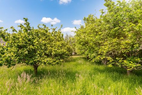 Photo of property in 179 Bidwills Cutting Road, Morison Bush, Greytown, 5794