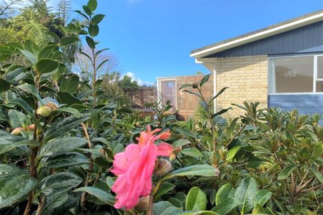 Photo of property in 20a Oberon Street, Stratford, 4332