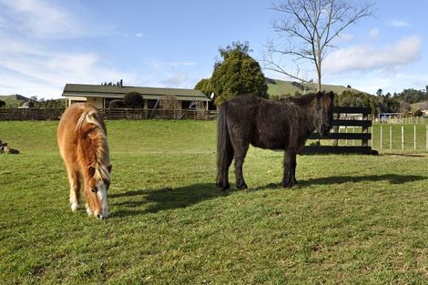Photo of property in 11 Thorn Road, Dovedale, Wakefield, 7096