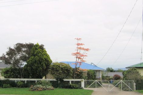 Photo of property in 62 East Avenue, Te Aroha, 3320
