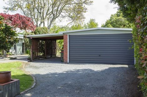 Photo of property in 87 Trevors Road, Hampstead, Ashburton, 7700