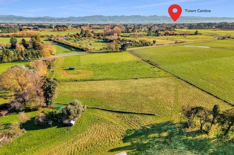 Photo of property in 447 Te Whiti Road, Homebush, Masterton, 5884