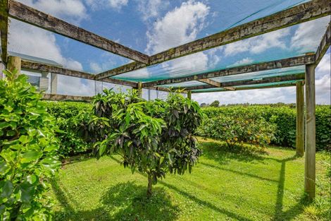 Photo of property in 134 Fairfield Road, Levin, 5510