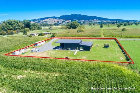 Photo of property in 51 Papesch Road, Pirongia, Te Awamutu, 3876