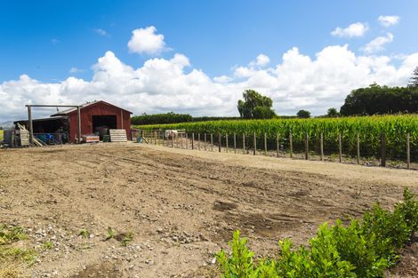 Photo of property in 868 Back Ormond Road, Makauri, Gisborne, 4071