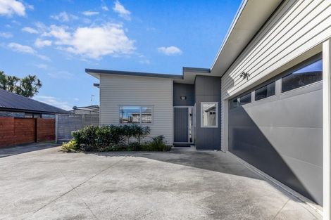 Photo of property in 52a Mako Mako Road, Levin, 5510