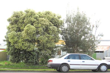 Photo of property in 247 Awapuni Road, Awapuni, Gisborne, 4010