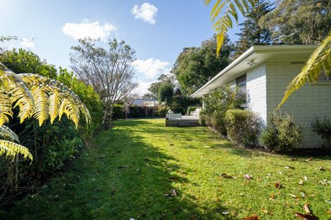 Photo of property in 7 Belloc Street, Leamington, Cambridge, 3432