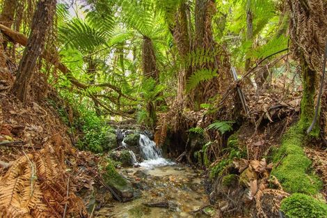 Photo of property in 266 Pukehangi Road, Sunnybrook, Rotorua, 3015