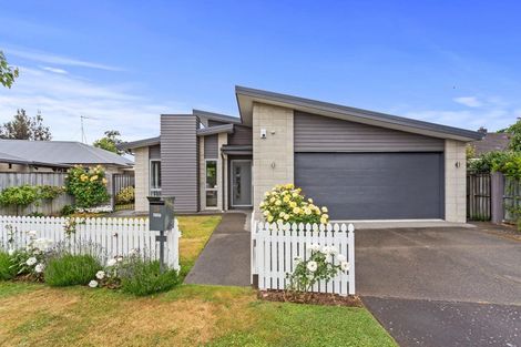 Photo of property in 28 Bank Street, Amberley, 7410