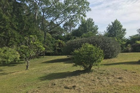 Photo of property in 851 Purangi Road, Cooks Beach, Whitianga, 3591