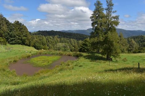 Photo of property in 63 Donaldson Road, Okaihau, 0475