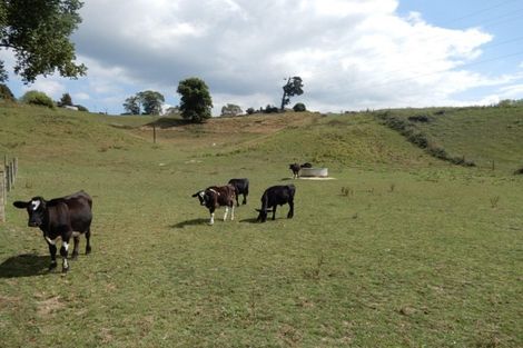 Photo of property in 512 Old Taupo Road, Waotu, Putaruru, 3481