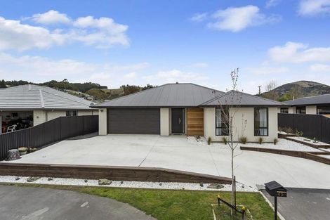Photo of property in 45 Owhiro Avenue, Mosgiel, 9024