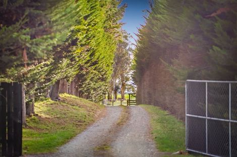 Photo of property in 321 Southbridge Leeston Road, Leeston, 7683