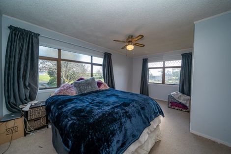 Photo of property in 592 Morrinsville-tahuna Road, Mangateparu, Morrinsville, 3373