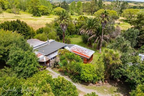 Photo of property in 249 Mountain Road, Maungaturoto, 0587