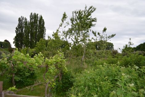 Photo of property in 1156 Main Road, Galatea, Murupara, 3079