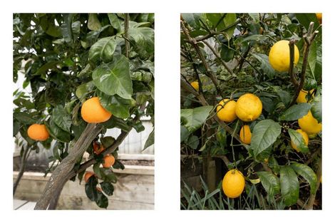 Photo of property in Waterview Estate, 3/4 Greystone Place, Omokoroa, 3114