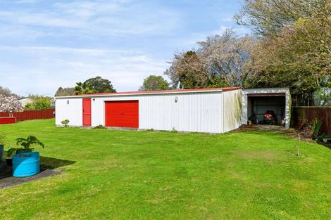 Photo of property in 15 Olivia Street, Stratford, 4332