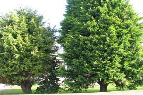 Photo of property in 16a Princess Road, Bellevue, Tauranga, 3110