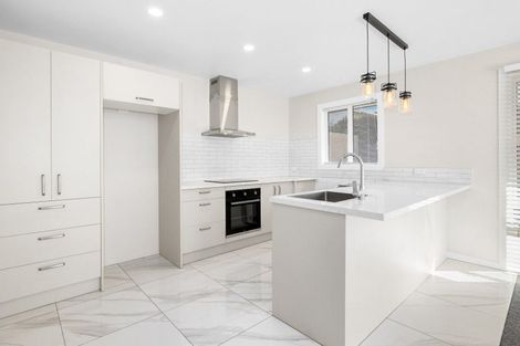 Photo of property in 1/55 Havelock Street, Ashburton, 7700