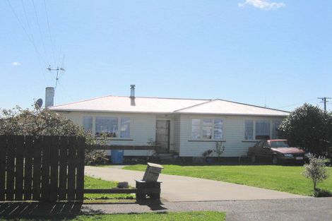 Photo of property in 11 Bledisloe Street, Levin, 5510