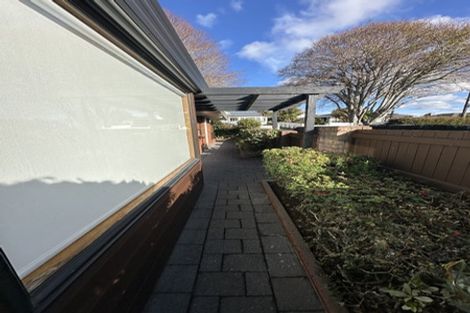 Photo of property in 17 Onslow Avenue, Epsom, Auckland, 1023