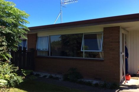 Photo of property in 137 Bellevue Road, Brookfield, Tauranga, 3110