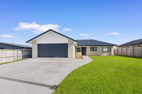 Photo of property in 17 Andrew Hilton Close, Morrinsville, 3300