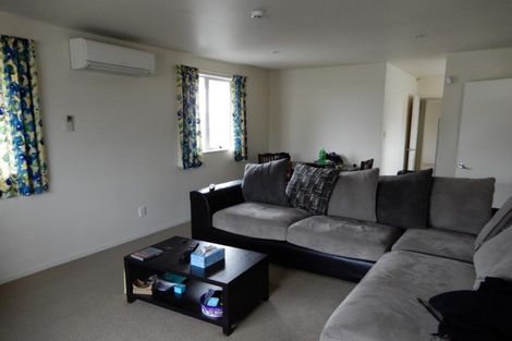 Photo of property in 114 Ensors Road, Waltham, Christchurch, 8023